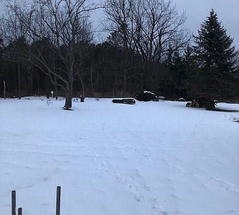 3rd image of 9773 Ridge Rd