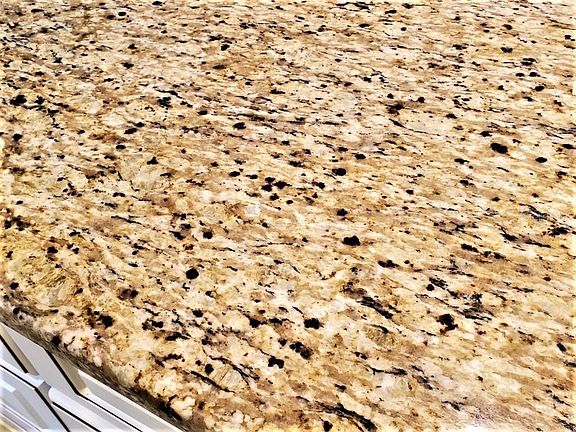 5th image of 156 Palermo Pl