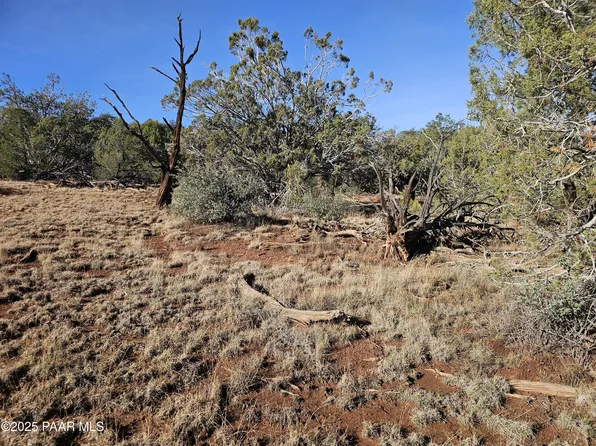 54892 N Potrero Ln, Seligman, AZ 86337