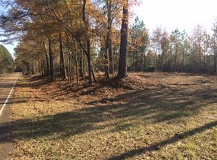 549 Antioch Shiloh Rd, Pelahatchie, MS 39145