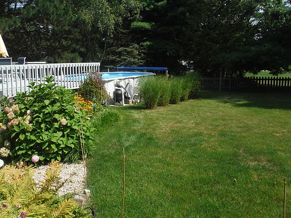 Pool deck and backyard