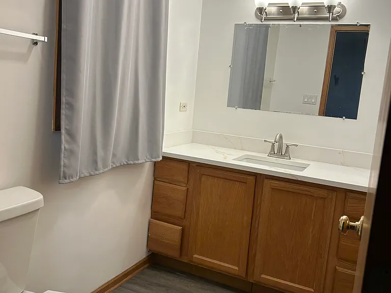 7318 Ogden Ave #2E — Photo 8