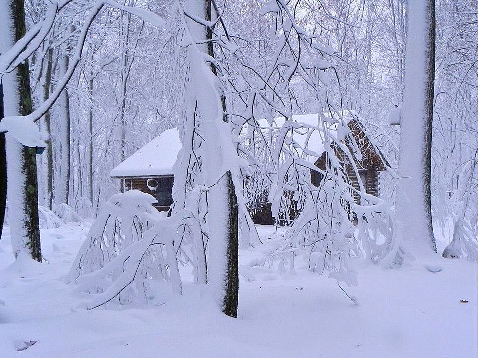 2nd image of 864 Acres Of Whitetail Dr