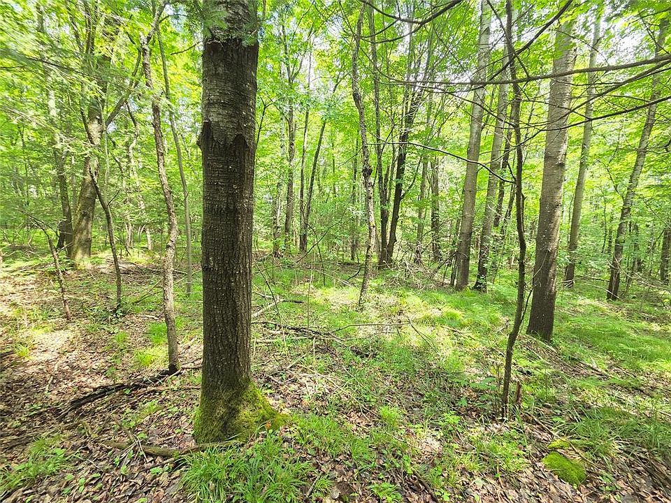 1st image of On Woodland Lane