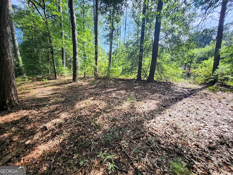 6765 Virlyn B Smith Rd — Photo 42