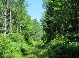 On Cth Ff, Mercer, WI 54547