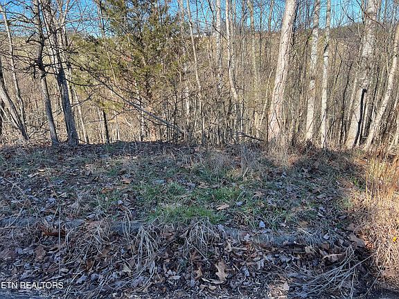 5th image of Baldwin View Dr