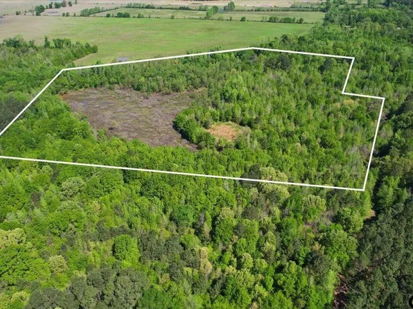 County Road 1143, Daingerfield, TX 75638