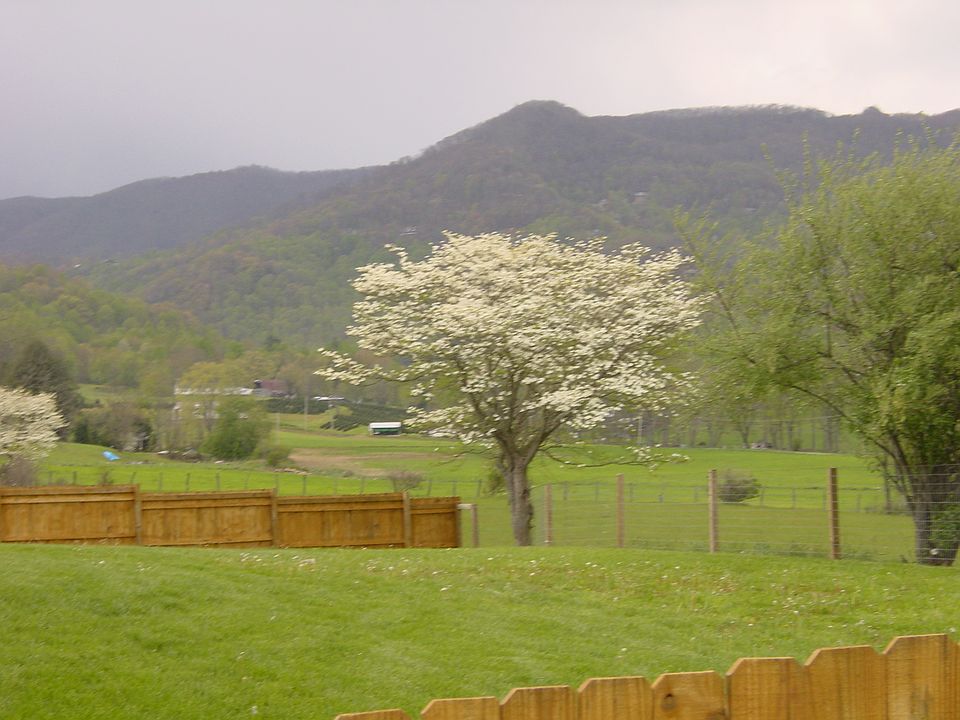 1st image of 80 Chipwood Ln