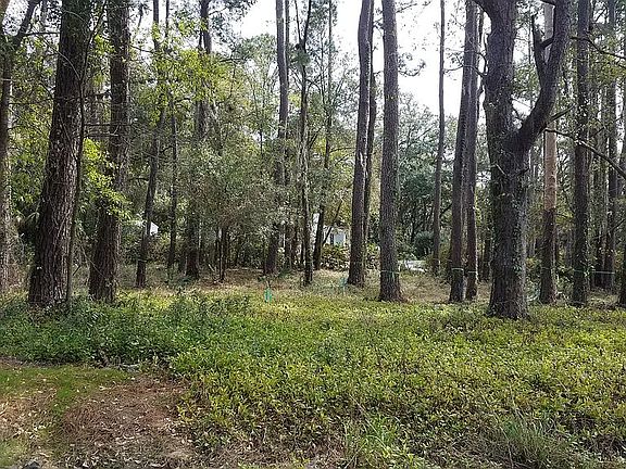 View from South Hermitage Rd