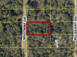 0 Madonna Dr LOT 13, Webster, FL 33597
