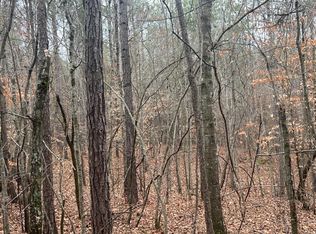 12.4 / County Rd LOT 823-3, Wadley, AL 36276