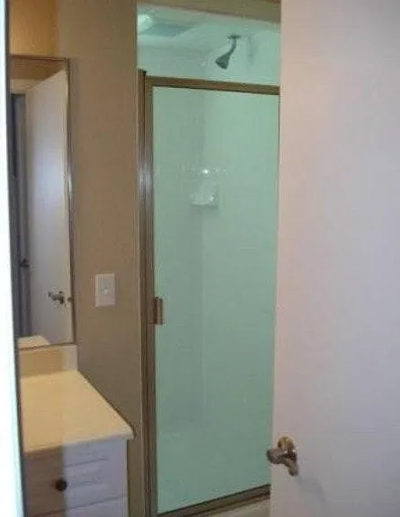 Master Shower downstairs