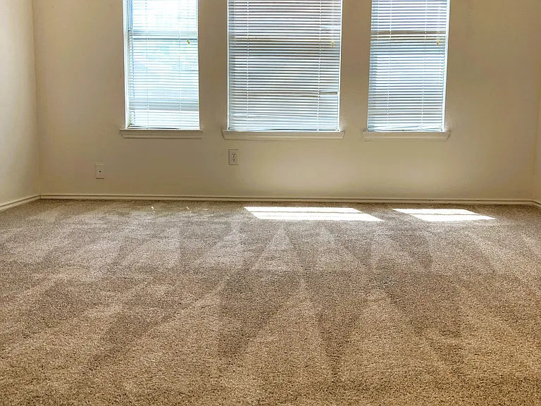 2078 Belvedere Dr — Photo 16