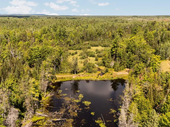 3265 Roost Rd, Onaway, MI 49765