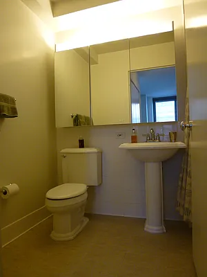 Rented by Carnegie Hill Place | media 37