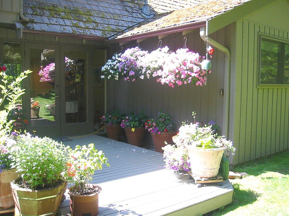 Rear Deck - West
