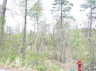 40 Fachado Dr, Hot Springs Village, AR 71909