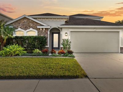 18446 Hunters Meadow Walk, Land O Lakes, FL, 34638