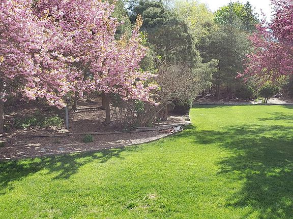 Backyard. Taken in mid-late spring.