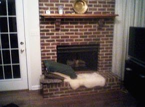5th image of 603 Willowcrest Pl