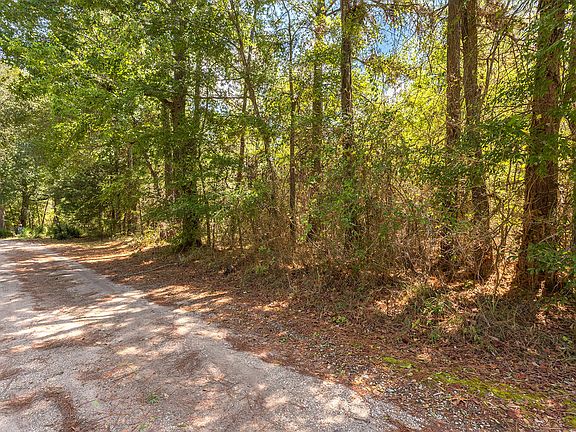5th image of 110131 Bill Jones Rd