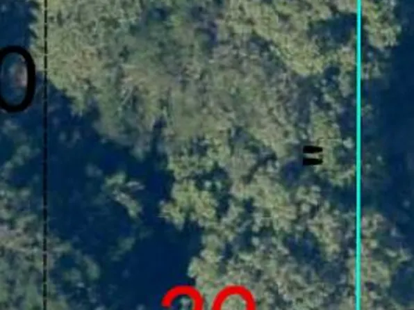 19594 Caloosa St Lot 29, Summerland Key, FL 33042