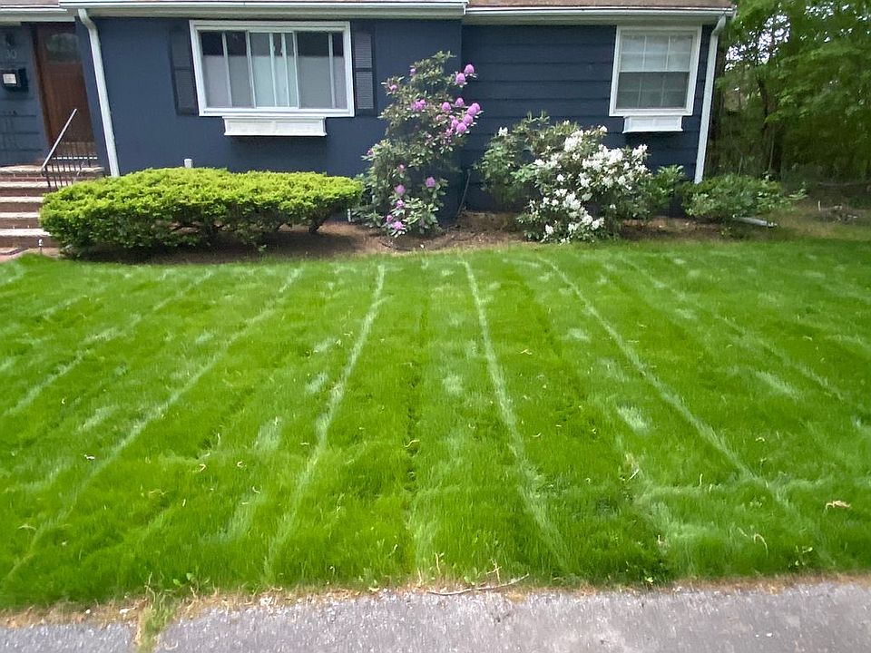 2nd image of 30 Frances St