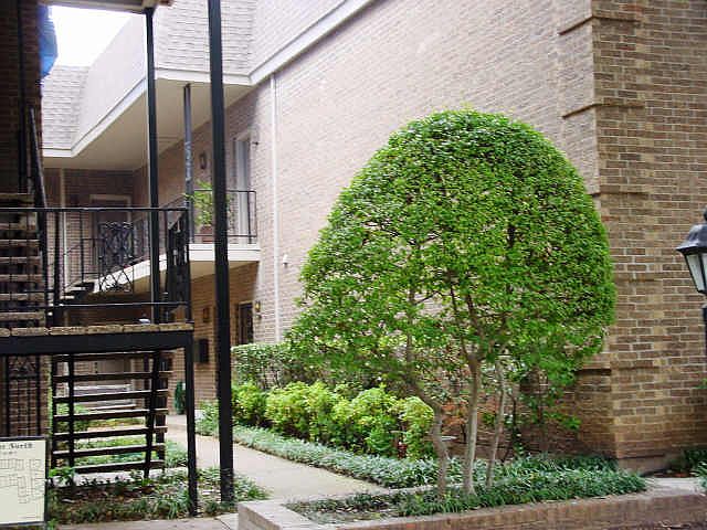 1st image of 4438 Harlanwood Dr APT 213