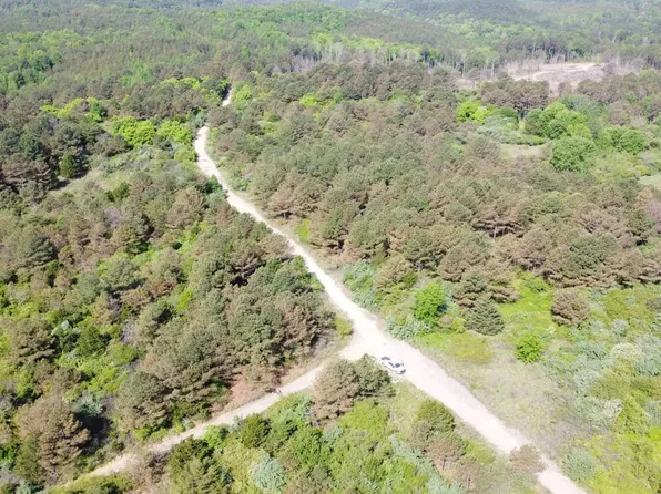 0 County Road 9, Lynn, AL 35575