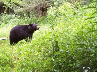 Tbd Ahart Ridge Rd, Ararat, VA 24053