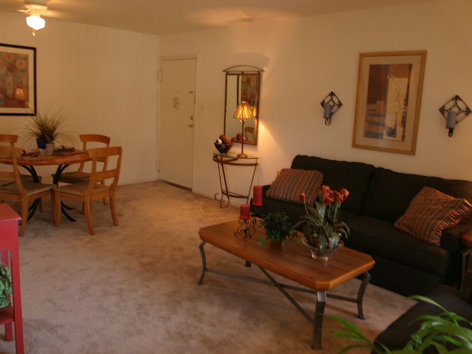 Decorated Living Room