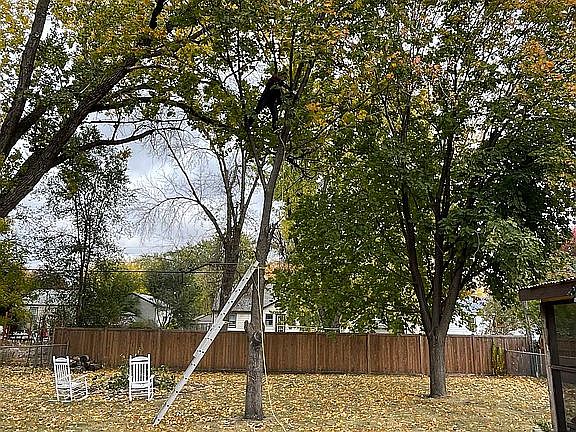 5th image of 1126 Dayton Ave