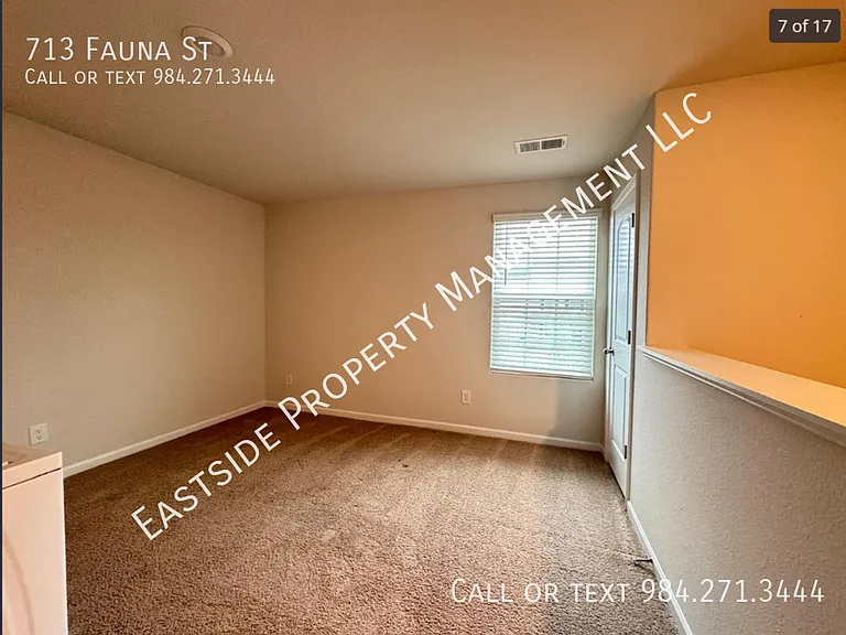 713 Fauna St — Photo 8