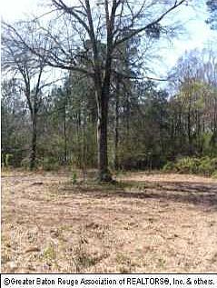 1st image of 48 & 49 Tickfaw Dr