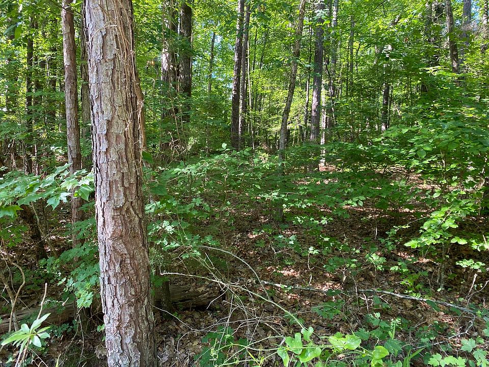 2nd image of 1.26 AC Remsen Road