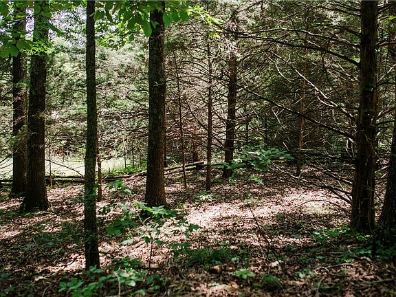 3rd image of 238 County Road 729