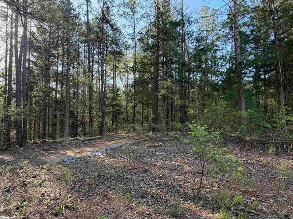 296 Cheeks Cir, Gray Court, SC 29645