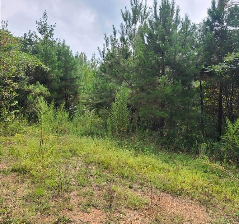 0 Tutwiler Rd, Oakman, AL 35579 Zillow