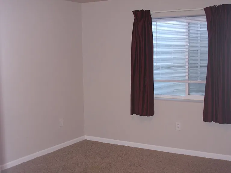 Downstairs Bedroom #1