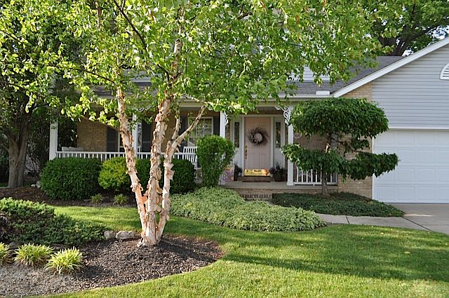 1st image of 364 Carol Ln