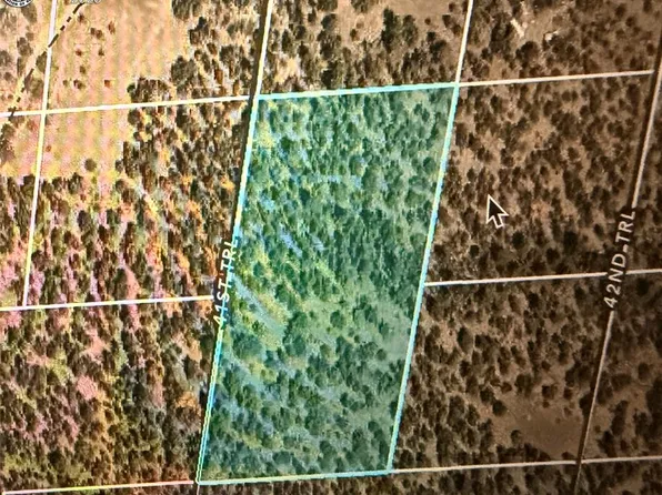 Tbd 41st Trl, Cotopaxi, CO 81223