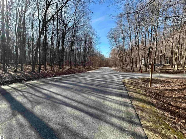 LOT 11 Heideldorf Dr, Bellaire, MI 49615