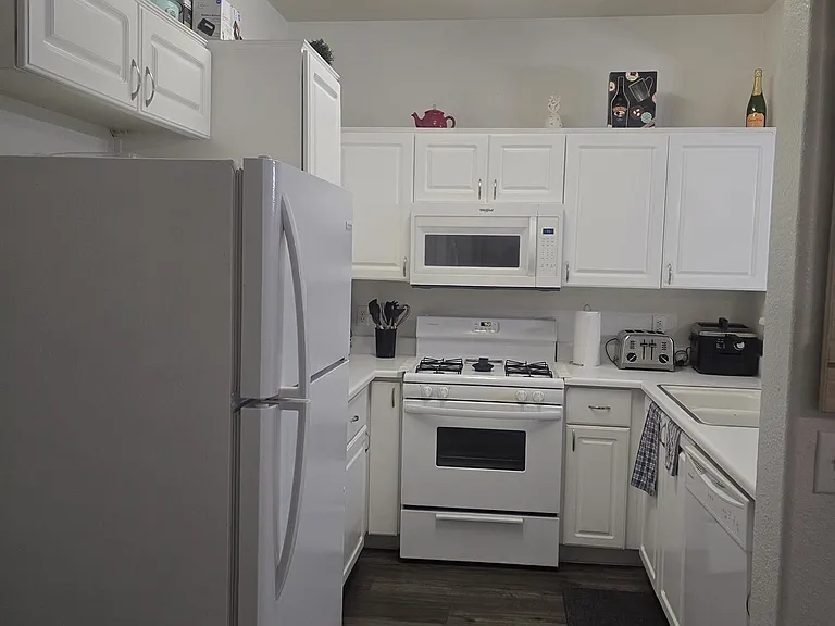 1009 Nevada Sky St — Photo 1