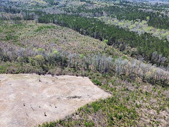 Dji Fly 20260317 132852 502 1773768702659 Photo Optimized