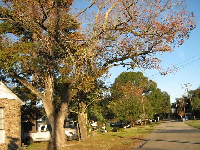 StreetView