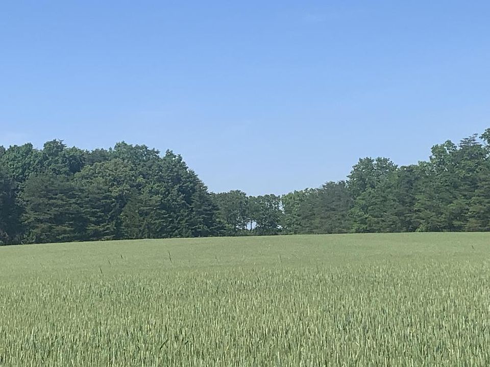 Beautiful open field