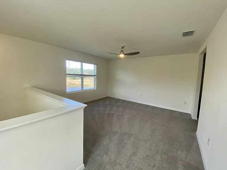 33367 Apricot Tree Ct — Photo 42