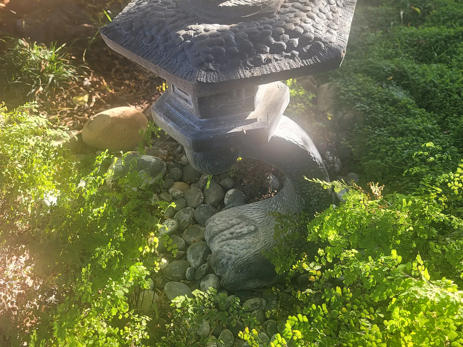 Lemur St, Ventura — Photo 4