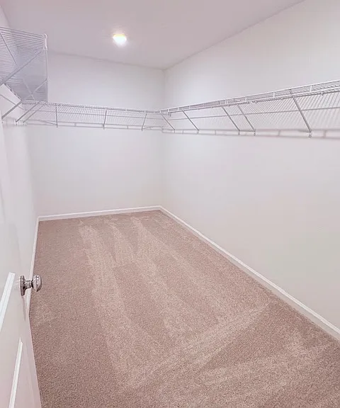 2311 Green Valley St — Photo 20